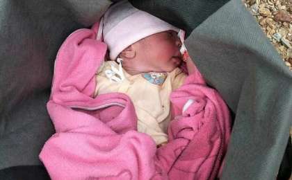 Көкек ана шаранасын қоқыс шелегіне тастап кеткен