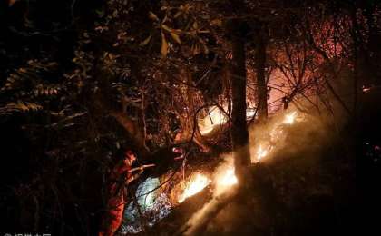 中国四川发生森林火灾