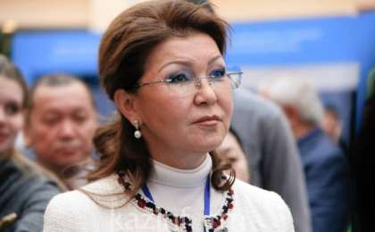 总统大选：参议院议长参与投票