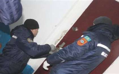 Анасы егіздерді пәтерде қалдырып, шығып кеткен