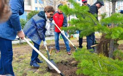 参议院议长参加首都植树日活动