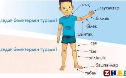 Сауат ашудан сабақ жоспары: Адам (1 сынып,1 бөлім ) » ZHARAR