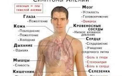 Анемиядан арылу жолдары