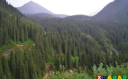 Сауат ашудан сабақ жоспары: Хат жазу Саяхат сәттері (1 сынып, 5 бөлім ) » ZHARAR