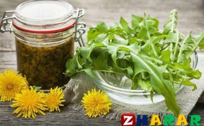 Бақбақ гүлінің адам денсаулығына пайдасы