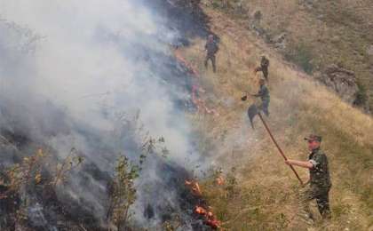 阿拉木图州野火致3人死亡7人受伤