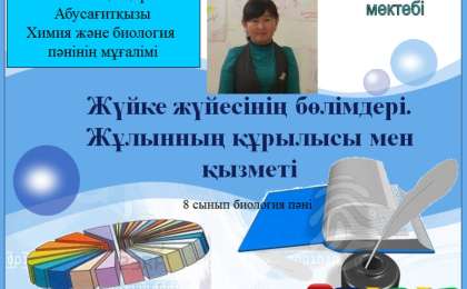 Презентация (слайд): Жүйке жүйесінің бөлімдері