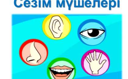 Қазақ тілінен сабақ жоспары: Сезім мүшелері/қабылдау қабілеттері туралы не білемін? Қабілет-сезімдер жайлы өлеңдер оқу (2 сынып, I тоқсан) » ZHARAR