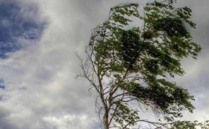 天气：3日大部分地区迎来强风天气