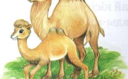 Қазақ тілінен сабақ жоспары: Үй жануарлары (4-сабақ) (1 сынып, 4 бөлім ) » ZHARAR