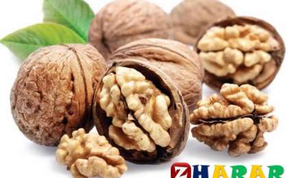 Жаңғақ өттегі тасты түсіреді