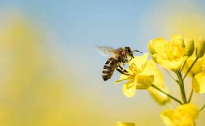 Ғалымдар 5G-ді қолдануға қарсы петиция жариялады