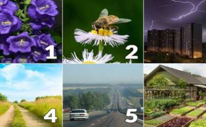 Психологиялық тест: Суреттің бірін таңдап, өзіңіз туралы сыр біліңіз