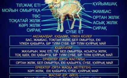 Табақ тартуды білеміз бе