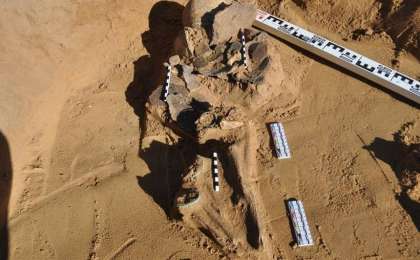 考古学家在阿克托别发现青铜器时代古墓