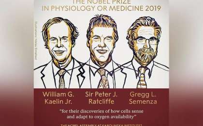 2019年诺贝尔生理学或医学奖揭晓