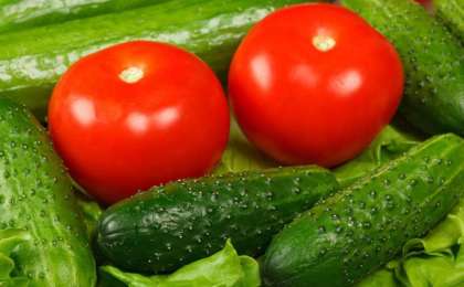 2019年6月国内农产品价格信息