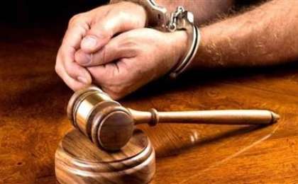 Алғаш рет ит ұрлаған адам сотталды