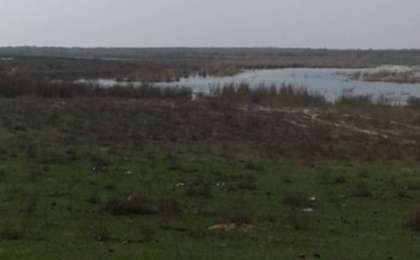 Өзбекстанмен шекарадағы Қоғалы тұрғындары "жер алмасуға" наразы