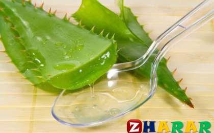 Алоэ өсімдігінің емдік қасиеттері