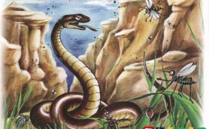 Ертегі: Қарлығаштың құйрығы неге айыр? (сурет, видео)