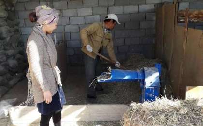 22 жастағы қызылордалық ару мал бордақылауды кәсіп етті