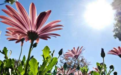 未来两天天气：大部分地区天气炎热