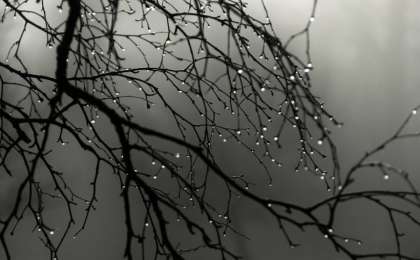 4月哈萨克斯坦将迎来什么样的天气？