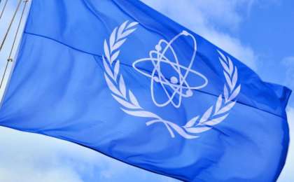 国际原子能机构指定代理总干事