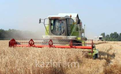 克孜勒奥尔达将扩大农作物出口规模