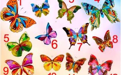 Психологиялық тест: Көбелектің бірін таңдап өзіңіз туралы сыр біліңіз