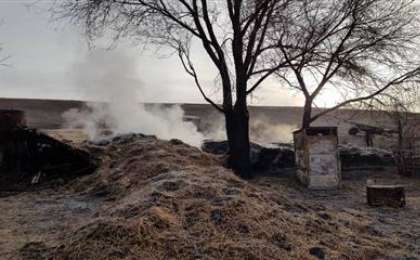 Көктем слайд, презентация - Қазақ тілі