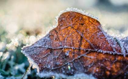 未来三天全国大部分地区将迎来暖和晴朗天气