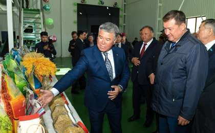 В КЫЗЫЛОРДЕ ОТКРЫЛСЯ ЗАВОД ПО ПЕРЕРАБОТКЕ РИСА