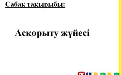 Презентация (слайд): Асқорыту жүйесі