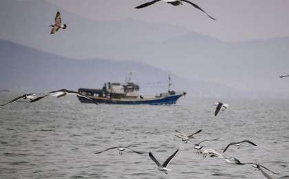 朝鲜扣留一艘俄罗斯渔船
