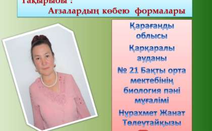 Презентация (слайд): Ағзалардың көбею формалары