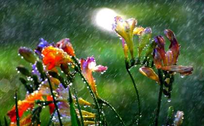 未来三天全国大部分地区将迎来雷雨天气