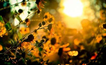 未来48小时我国东部将有强降雨