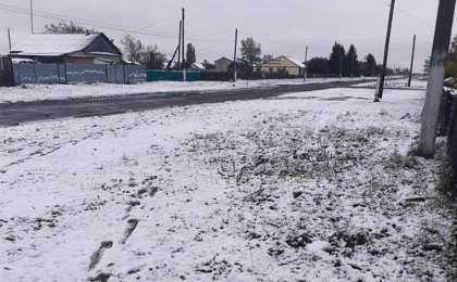 彼得罗巴甫尔市迎来今秋首场雪