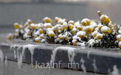 库斯塔奈州发布强风天气预警