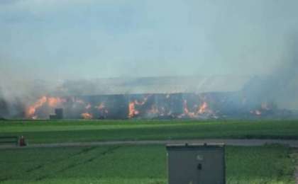 Құс фабрикасында 100 мың тауық өртеніп кеткен