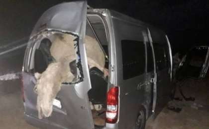 Маңғыстау облысында автокөлік түйемен соқтығысып қалды