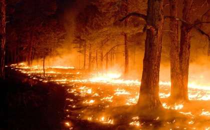 法国南部发生森林大火 近3千名游客紧急疏散