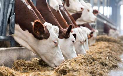 哈萨克斯坦农业生产增长3.5%