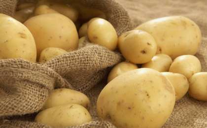 哈萨克斯坦允许进口吉尔吉斯斯坦水果和蔬菜