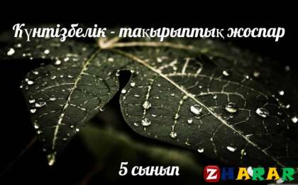 Күнтізбелік - тақырыптық жоспар: Математика (5 сынып)