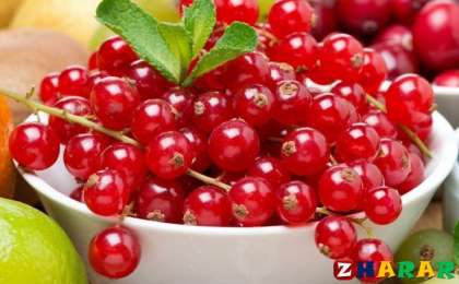 Қазақ тілінен сабақ жоспары: Жемістер мен көкөністер– оқылым №1 (1 сынып, 7 бөлім )