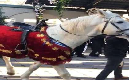 Байлығы тасыған қазақтардың ұлан-асыр тойы жұрттың жағасын ұстатты