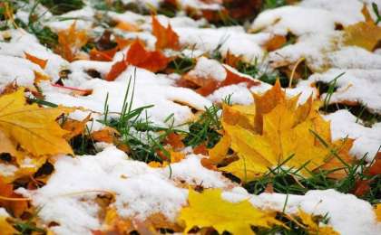 天气：北哈州将迎来雨夹雪